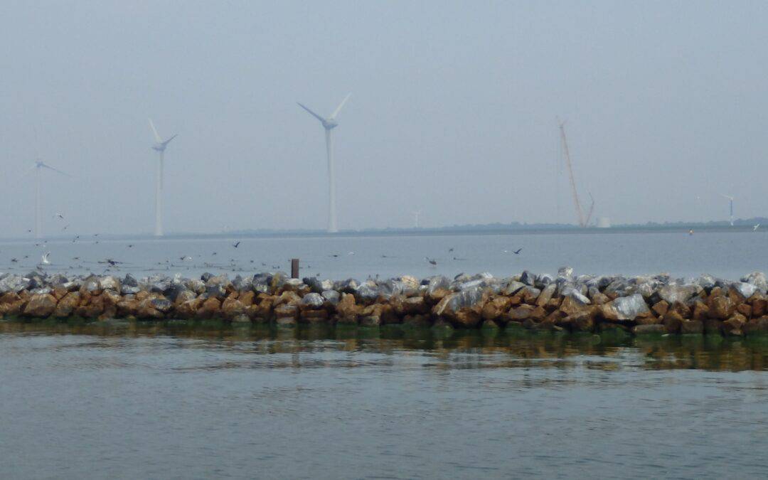 Onderwater natuurgebied in IJsselmeer volop in ontwikkeling