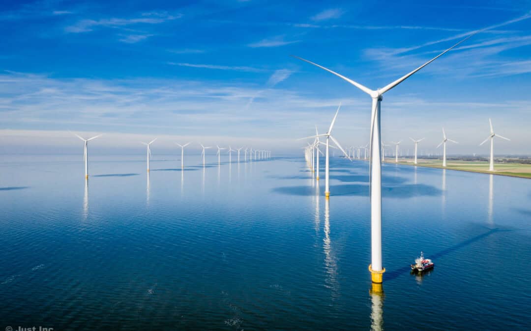 Cassatieprocedure definitief afgerond: geen extra voordeel voor groep van agrariërs bij belegging in Westermeerwind Aandelenfonds.