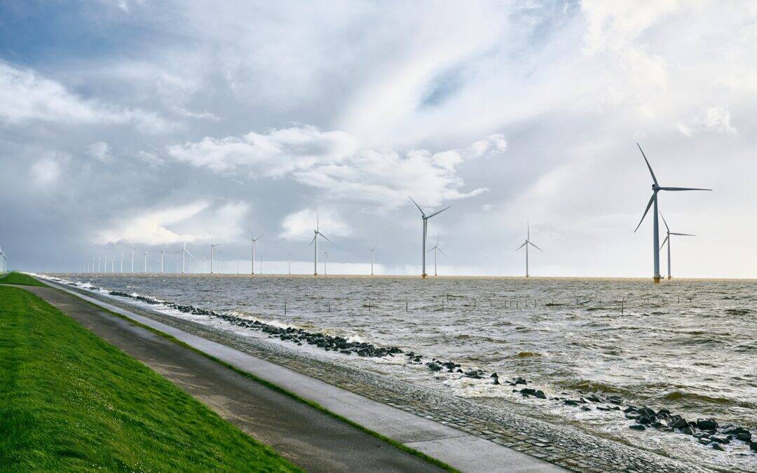 Enorme belangstelling voor obligaties Westermeerwind