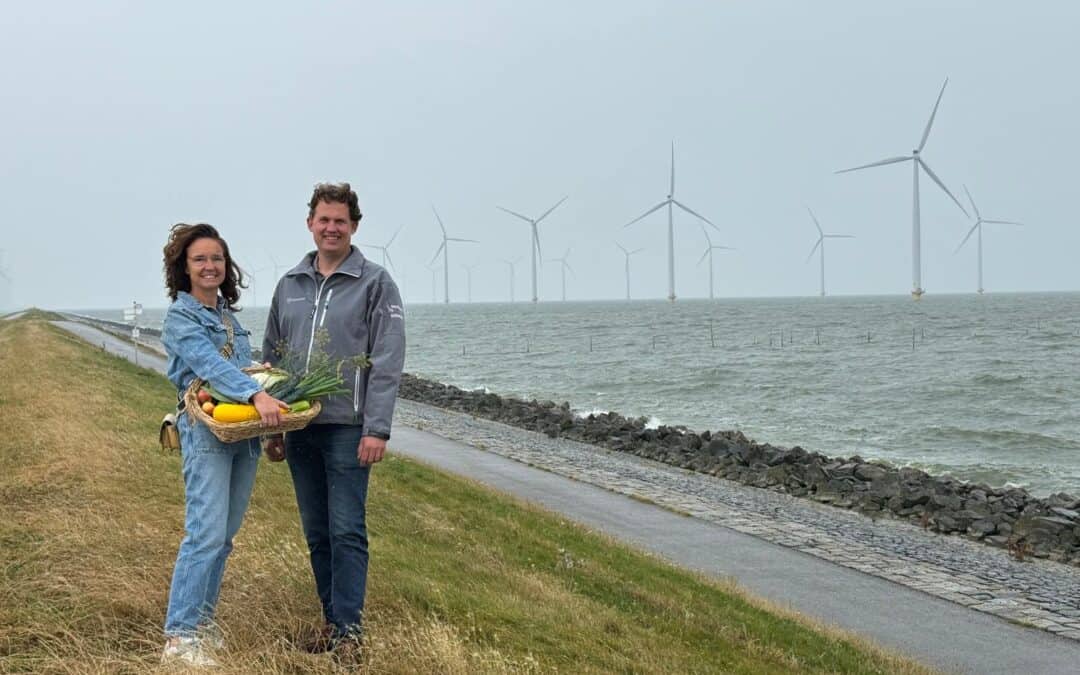 (H)eerlijk dineren tussen de windmolens